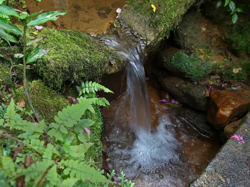 Curso d’água identificado em levantamento ambiental, com fluxo de nascente entre rochas e vegetação nativa