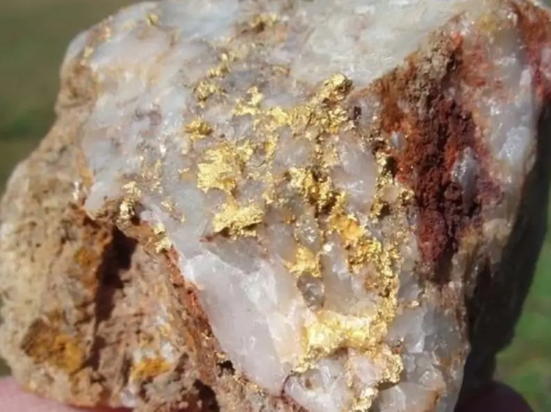 Amostra de quartzo como ouro disseminado.